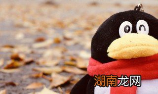 怎么看qq年龄 怎么看qq年龄多少年2021