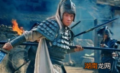 赵云对蜀汉忠贞不二，为何刘备死后他就被贬了呢？