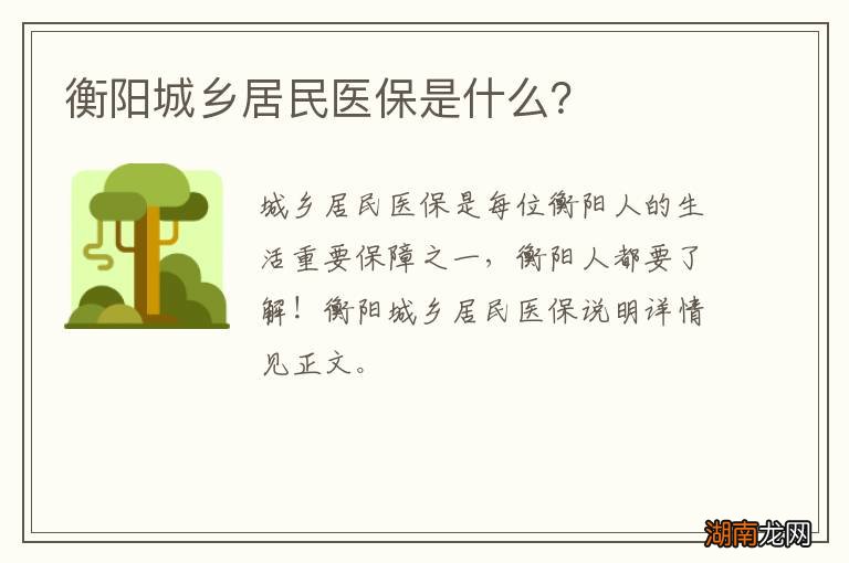 衡阳城乡居民医保是什么?