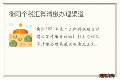 衡阳个税汇算清缴办理渠道