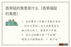 翡翠福鼠的寓意 翡翠鼠的寓意是什么