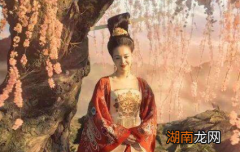 杨玉环这么受宠，为何只是个贵妃而不是皇后呢？