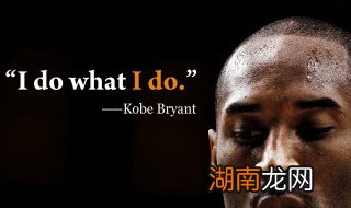 科比生平简介 科比介绍