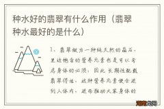 翡翠种水最好的是什么 种水好的翡翠有什么作用