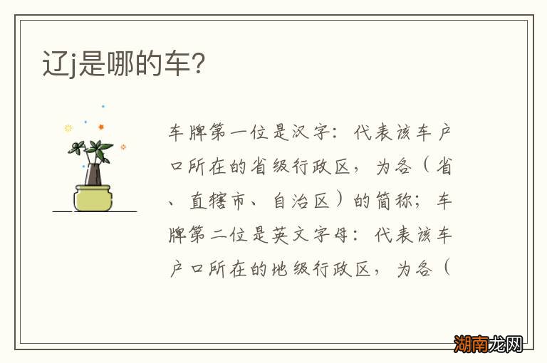 辽j是哪的车？