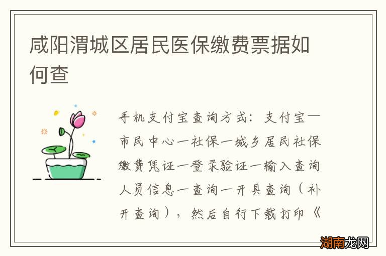 咸阳渭城区居民医保缴费票据如何查