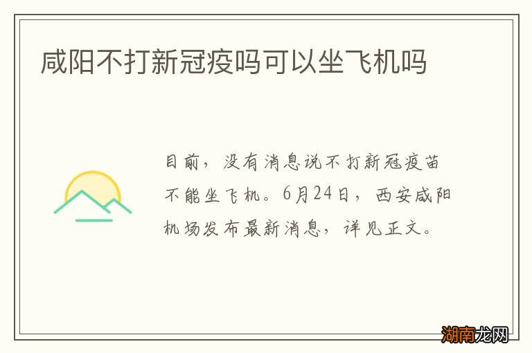 咸阳不打新冠疫吗可以坐飞机吗