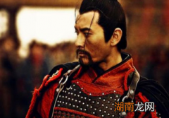 岳飞为什么会被赵构的十二道金牌召回京城并被冤杀？