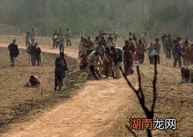 晚清时期的丁卯奇荒有多悲惨?导致了哪些后果?