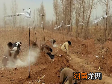 晚清时期的丁卯奇荒有多悲惨?导致了哪些后果?