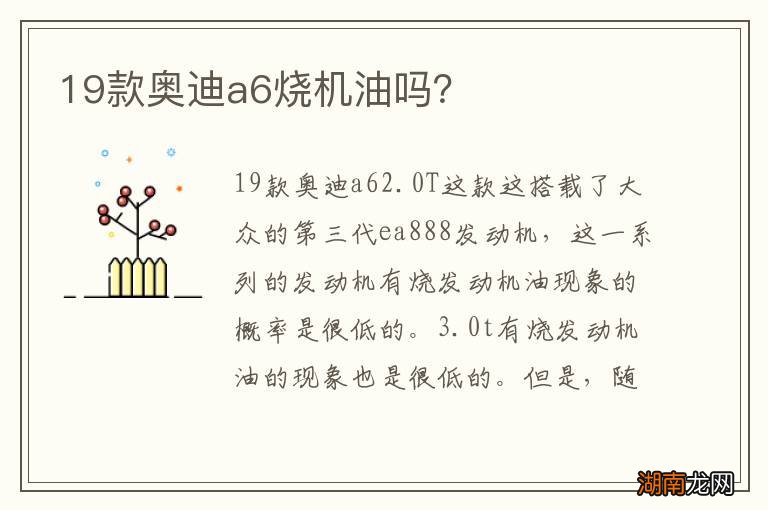 19款奥迪a6烧机油吗?