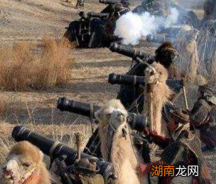 准噶尔作战军队最高不超过七万人 准噶尔是如何支撑60年之久的