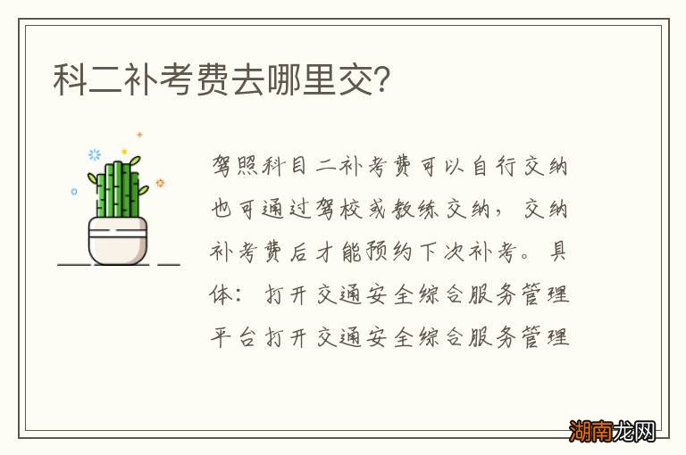 科二补考费去哪里交？