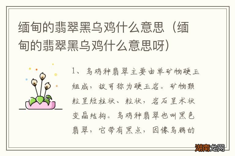缅甸的翡翠黑乌鸡什么意思呀 缅甸的翡翠黑乌鸡什么意思
