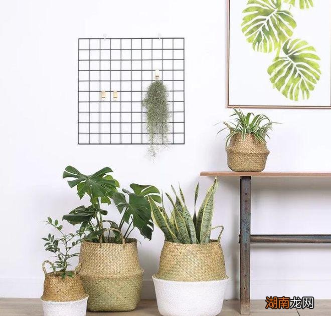 4个有钱有颜女明星的家,堪称豪宅中的清流