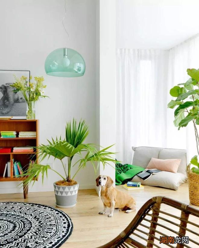 4个有钱有颜女明星的家,堪称豪宅中的清流