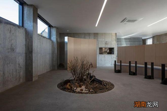 Hoa Salon /形式的沉默