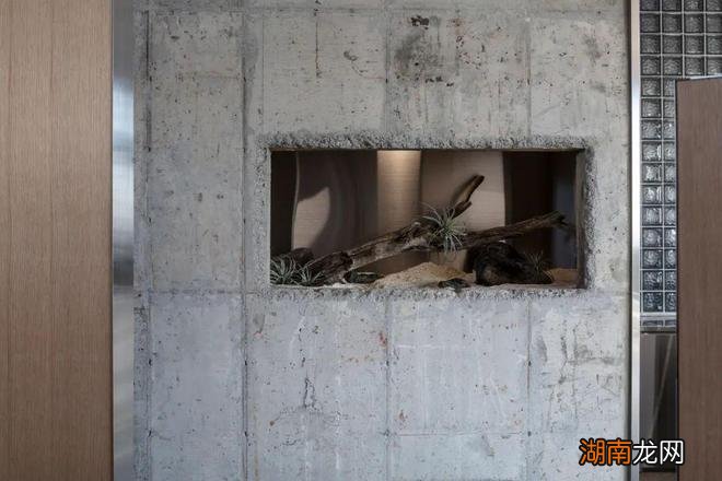 Hoa Salon /形式的沉默