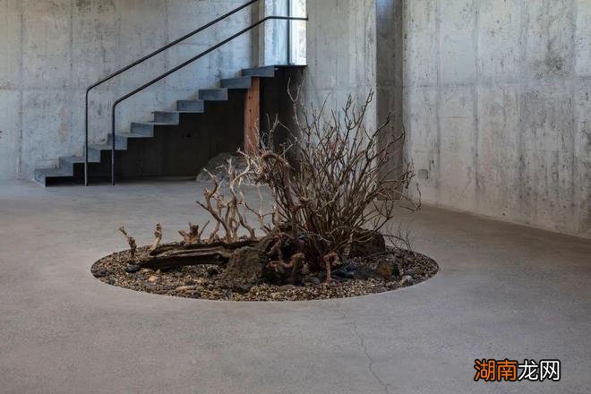 Hoa Salon /形式的沉默