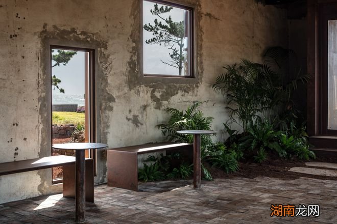 Hoa Salon /形式的沉默