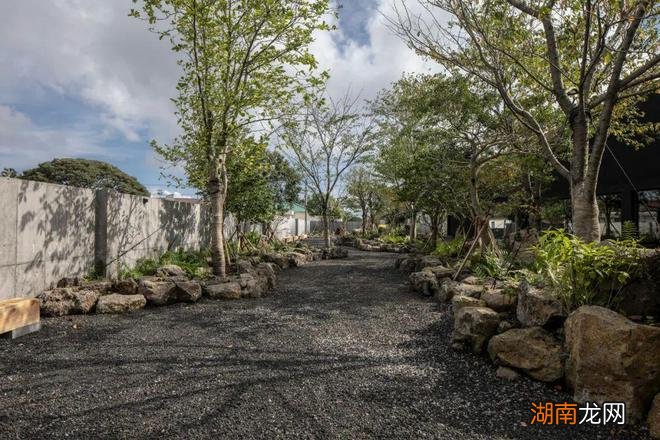 Hoa Salon /形式的沉默