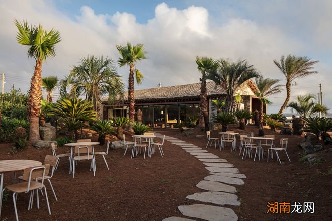 Hoa Salon /形式的沉默