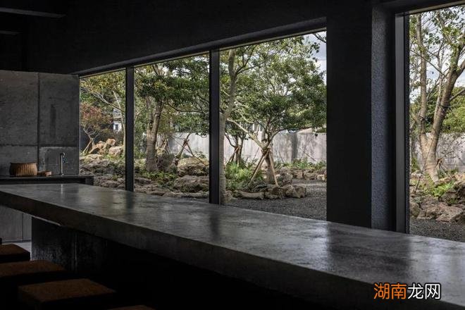 Hoa Salon /形式的沉默