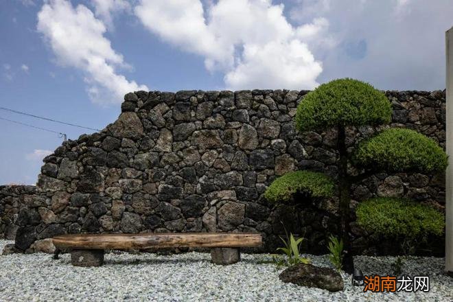 Hoa Salon /形式的沉默