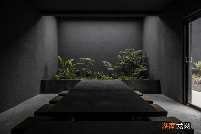 Hoa Salon /形式的沉默