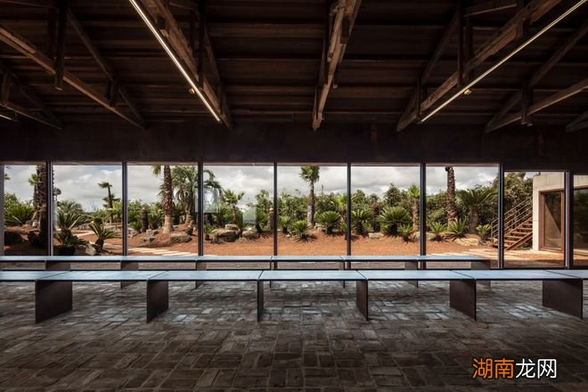 Hoa Salon /形式的沉默