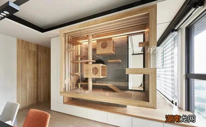 靠一面猫箱实现互不干扰，家务活上省心了，就连家具都能完好无损