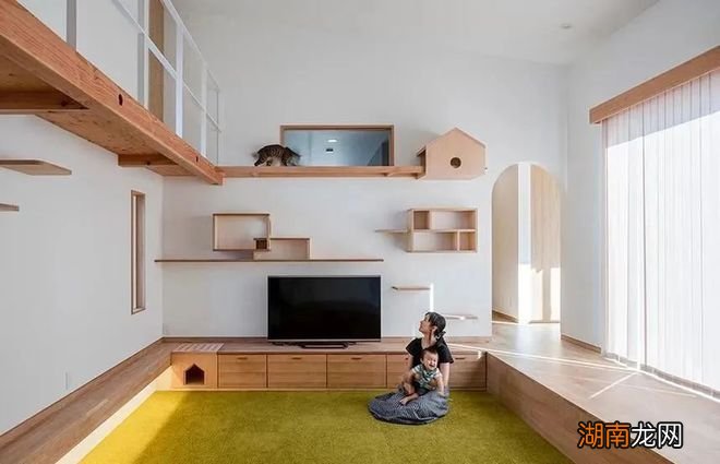 靠一面猫箱实现互不干扰，家务活上省心了，就连家具都能完好无损