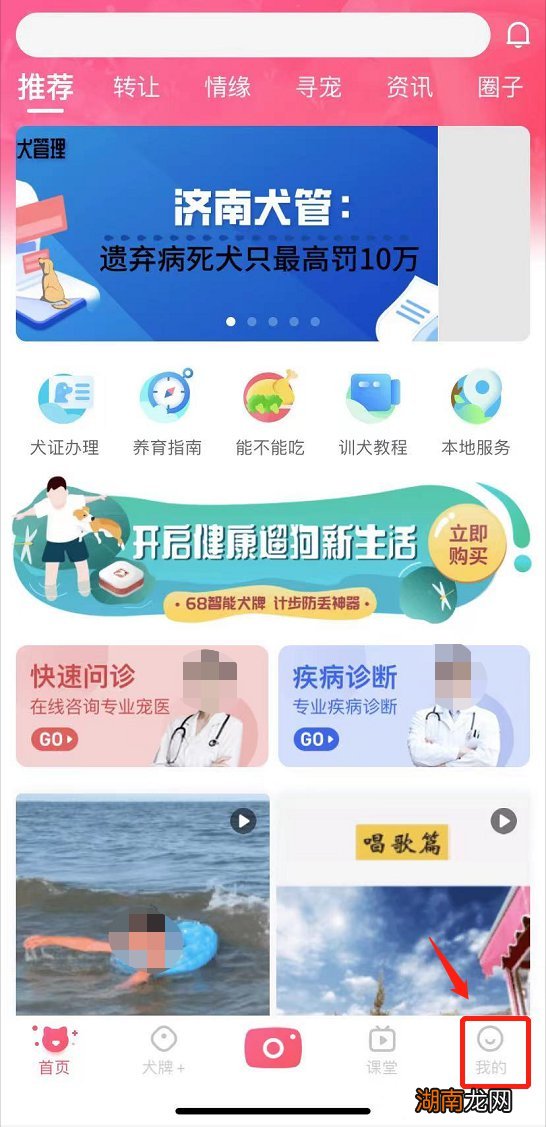 68宠物官方下载