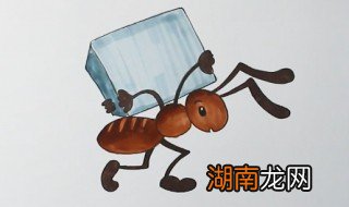 蚂蚁怎么画 蚂蚁简笔画教程