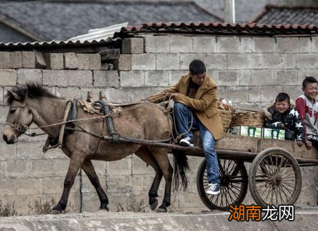 古代马车是如何兴起的 马车最后为什么没落了