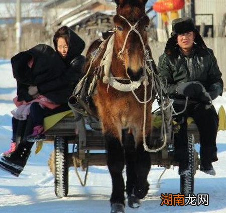 古代马车是如何兴起的 马车最后为什么没落了