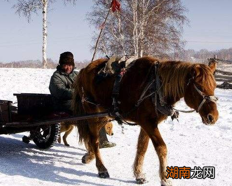 古代马车是如何兴起的 马车最后为什么没落了