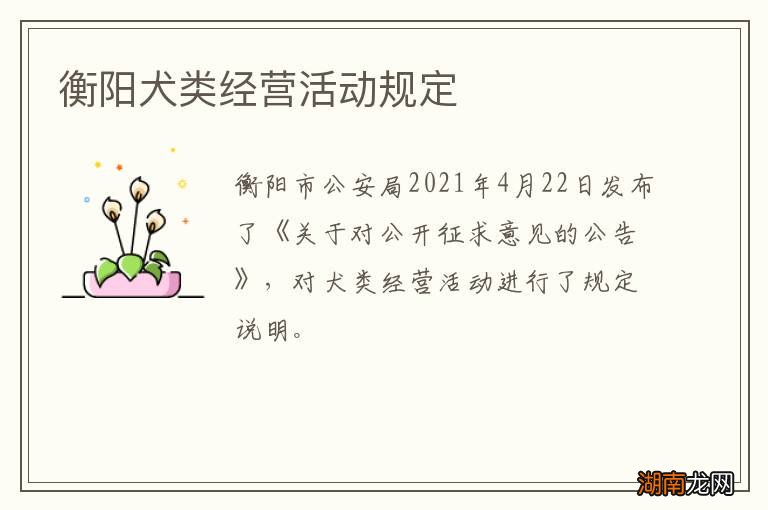 衡阳犬类经营活动规定