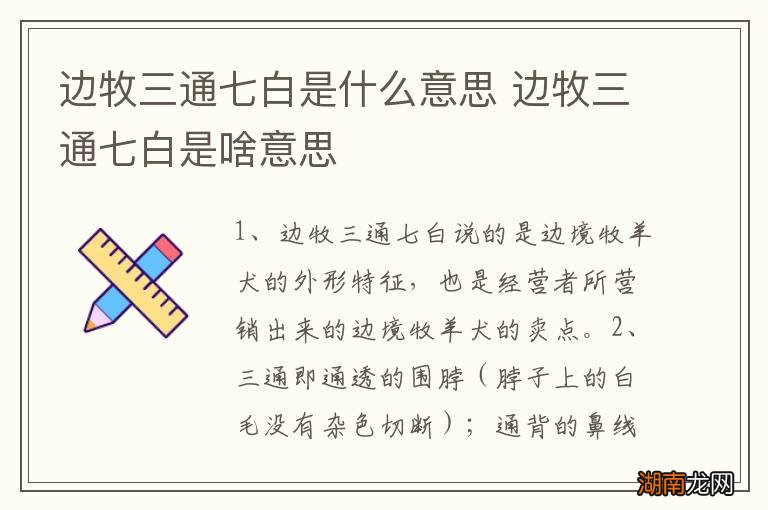 边牧三通七白是什么意思 边牧三通七白是啥意思