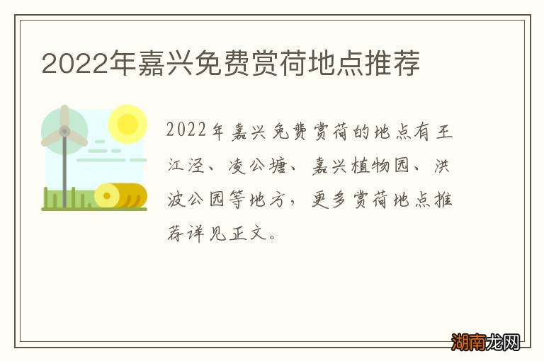 2022年嘉兴免费赏荷地点推荐