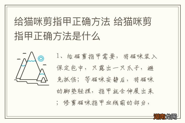 给猫咪剪指甲正确方法 给猫咪剪指甲正确方法是什么