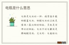 电瓶是什么意思