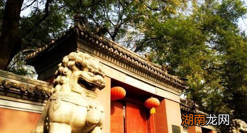 清朝皇子的生活是什么样的 幼年生活相当的悲惨