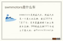 swmmotors是什么车