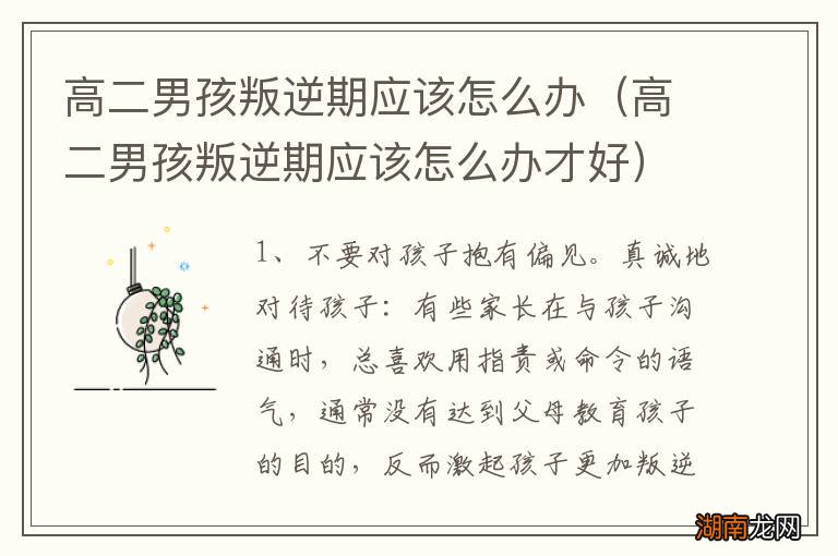 高二男孩叛逆期应该怎么办才好 高二男孩叛逆期应该怎么办