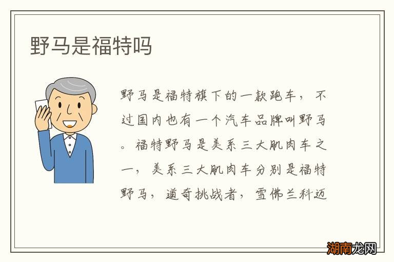 野马是福特吗