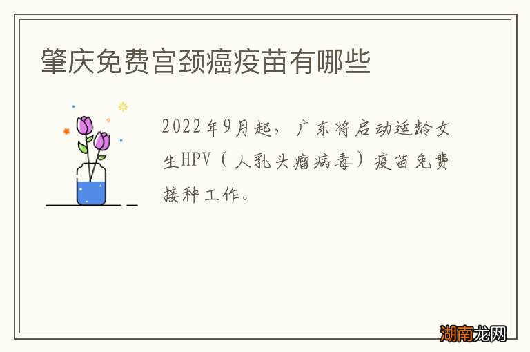 肇庆免费宫颈癌疫苗有哪些