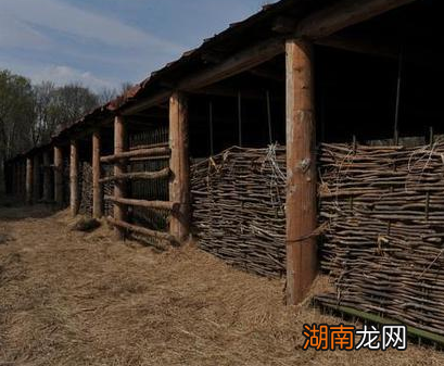 史思明为什么被自己的亲生儿子所杀 史思明说错了什么话