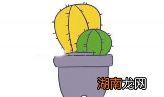 仙人掌怎么画 仙人掌简笔画教程