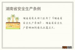 湖南省安全生产条例